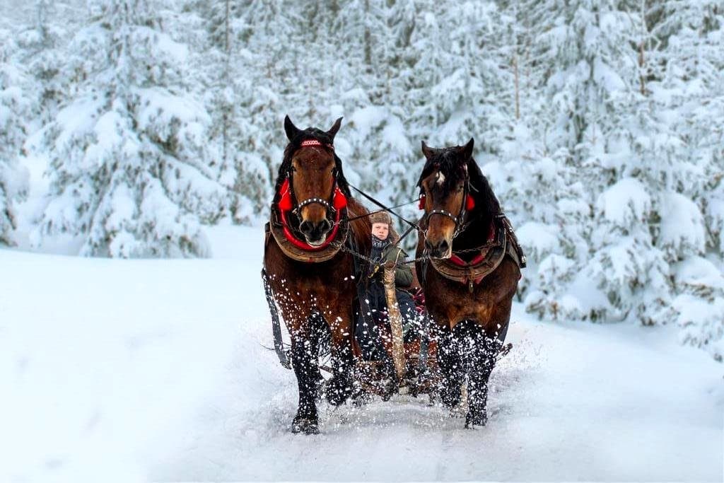 Sylwester Góralski w Wiśle, Istebnej z kuligiem i pochodniami